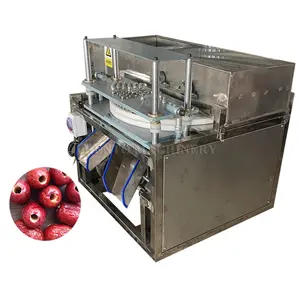 Máquina deshuesadora de aceitunas automática de estructura Simple/máquina separadora de semillas de fecha/máquina extractora de núcleos de azufaifo rojo