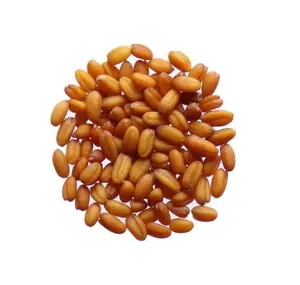Manufacture Of Camelina Oil 100% Pure Camelina Sativa Seed Oil At Low Price False Flax Seed Oil