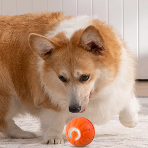 Nuovo pet jumping <span class=keywords><strong>ball</strong></span> cane giocattolo morso palla automatica pet <span class=keywords><strong>dog</strong></span> palla - Product Image 5