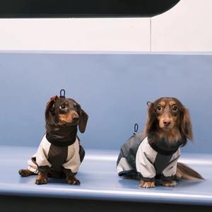 Abrigo de invierno de perro salchicha de poliéster con estampado clásico ecológico a prueba de frío <span class=keywords><strong>para</strong></span> <span class=keywords><strong>Yorkshire</strong></span> Terrier tallas pequeñas y medianas - Product Image 5