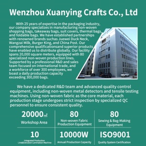 Funda para <span class=keywords><strong>Traje</strong></span> Personalizada con Logotipo, de Alta Calidad, No Tejida, para Uso Diario, a Bajo Precio - Product Image 5