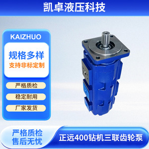 Pompe à engrenages triple pour foreuse Zhengyuan 400, pompe hydraulique horizontale 1115133400, pompe de surpression multi-niveaux - Product Image 4
