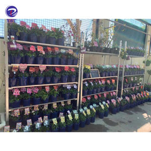 מגבהים חוות מדף מתכווננות חממות חממות חממות חממות - Product Image 6