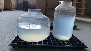 Vassoi Quadrati in PS per Succulente, Migliore Crescita delle Piantine, Vassoi per Semina Riutilizzabili in Plastica Rinforzata 185g 512 Celle Ecologici 2,5cm - Product Image 6