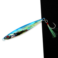 TOPLURE 30g 40g, 60g, 80g, 100g leurres de pêche en métal plomb jigging leurres longue coulée japon Style appâts de pêche en métal