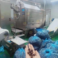 Grote Capaciteit Automatische Ijs Chocolade Snoep Coating Machine Voor Notenpinda