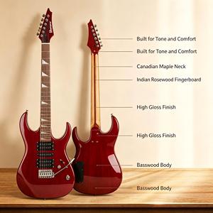 Guitarra Eléctrica D-150 Morada, Cuerpo de Tilo, Mástil de Arce Canadiense, Acabado Brillante, 24 Trastes y Puente D-15 - Product Image 1