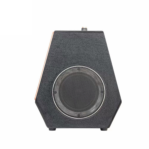 Nhà Máy Giá cung cấp 8 inch woofer DJ RGB đèn 200W đỉnh điện chuyên nghiệp thông minh máy Karaoke với UHF Micro không dây - Product Image 5