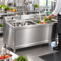 Équipement de nettoyage pour cuisine professionnelle : Laveuse double bac pour légumes et vaisselle – Fourniture par contrat