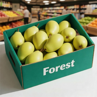 Cajas de Cartón Reciclable de Alta Calidad para Envasado de Frutas, Cajas Rígidas Corrugadas Personalizadas para Mangos, Bandejas para Frutas Adecuadas para
