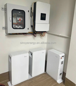 Batería de Litio de 10kwh, 51.2v 1 48V 200ah, 5kw 10kw 15kwh, de Iones, Montada en Pared, para Energía Solar - Product Image 3