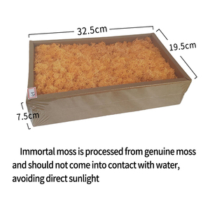 Muschio Stabilizzato Eterno del Produttore Yunnan, Muschio di Renna Decorativo Conservato, Kit Fai da Te per Pareti da Giardino, Pannello Decorativo per Fioristi, Lungo - Product Image 5