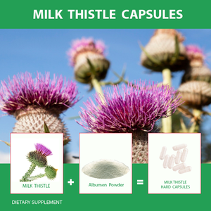 Kapsul Ekstrak Milk Thistle OEM untuk Dewasa, Detoksifikasi Hati, Suplemen Kesehatan Pelangsing, Umur Simpan 36 Bulan - Product Image 4