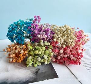 Offre Spéciale Mini <span class=keywords><strong>Bouquet</strong></span> de Fleurs Séchées pour Boîte Cadeau, Vraies Fleurs Conservées Gypsophile - Product Image 6