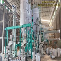 Moulin à maïs entièrement automatique 240T en acier inoxydable 304 à haute efficacité avec moteur et roulement pour le marché éthiopien