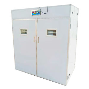 Incubateur automatique BeYou 4224 de taille moyenne pour œufs, avec un taux d'éclosion de 98 %, 220 V, pour usage aviaire - Product Image 3