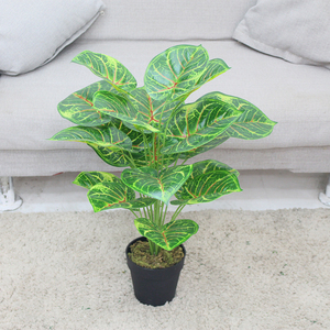 Thiết Kế Mới Nhân Tạo Khoai Tmôn Cây Nhỏ Bonsai Trong Chậu Trong Cửa Trang Trí Nhân Tạo Cây Và Hoa - Product Image 2