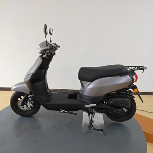 Véhicule tout-terrain haute performance pour adultes avec moteur sans balais 80 km/h, double suspension, longue autonomie, <span class=keywords><strong>moto</strong></span> à essence rapide - Product Image 1