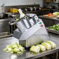 QC205A Commerciële Fruit- en Groente-aardappel Snijmachine 5-delige messenset Multifunctionele Hoge Efficiëntie Elektrische Snijmachine