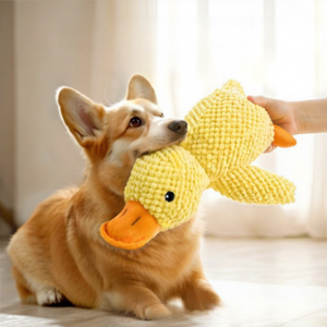 Hondenspeelgoed Kleine gele cartoon-eend Fluweelzacht pluche Zelfvermakend bijtbestendig bijtspeeltje met geluid voor kleine/middelgrote honden - Product Image 2
