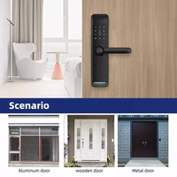 Serrure de Porte Connectée Wi-Fi Liliwise Électronique Ttlock Alexa App Biométrique à Clavier Intelligent Numérique Tuya avec Poignée à Empreinte Digitale et Code