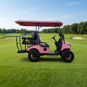 Voiturette de golf rose à 4 places, homologuée pour la route, entretien facile, pour les parcs, les attractions touristiques, les terrains de golf, les centres d'exposition - Product Image 2