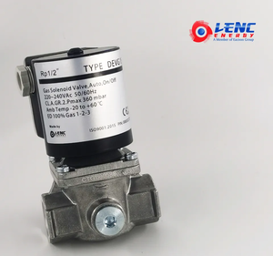 Le caldaie del bruciatore parte l'elettrovalvola a solenoide 12V con apertura lenta - Product Image 3