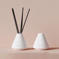 C & H vente en gros de luxe personnalisé décoration intérieure mat blanc noir céramique roseau diffuseur coffret cadeau