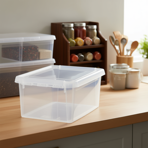 SmartStore Plastic <b>Storage</b> <b>Box</b> 10L With Lid For Home Organization - Product Image 3