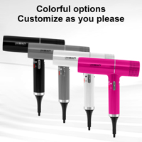 Secador de Pelo Profesional Iónico Linkbeauty de 1850W con Pantalla LED, Función de Autolimpieza, Motor Silencioso sin Escobillas, Doble Voltaje 110,000