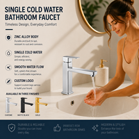 Robinet de lavabo monotrou en alliage de zinc à eau froide, à poser sur le plan, pour salle de bain