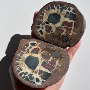 CrystalHola - Rebanadas de Piedra Natural Marroquí con Patrón de Tortuga, Talladas a Mano, Decoración Bohemia de Alta Calidad, Educativas - Product Image 4