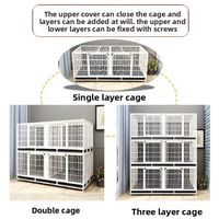 Système de cage d'élevage moderne et simple en acier inoxydable pour chats et chiens, à trois étages, avec plateaux en plastique solide à double couche et cloisons