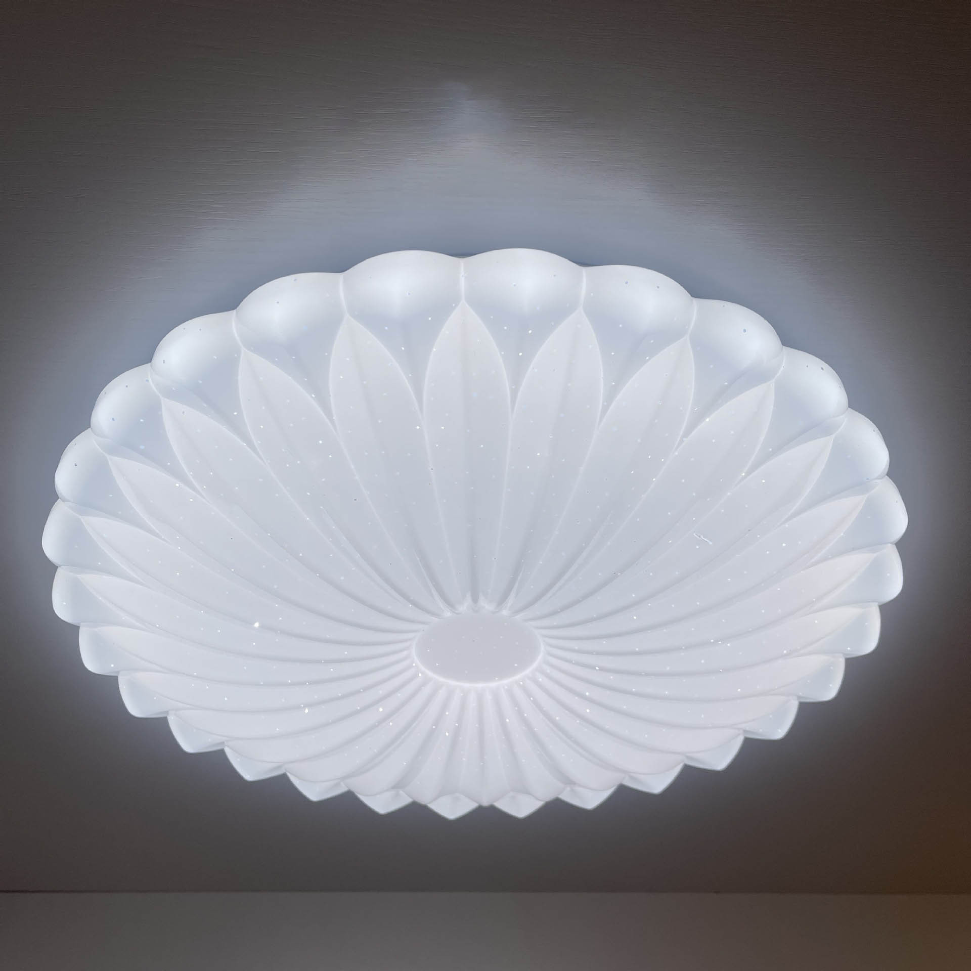 High Quality Flower Surface Mounted Ceiling Lamp LED Light Living Room Indoor Lamp Fixture Round Ceiling Lights for Bedroom
