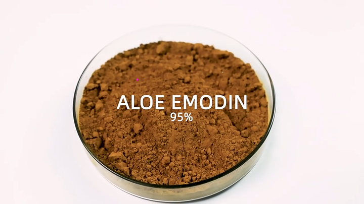 Pure Natural Aloe Vera Extract Powder Aloin Aloe-emodin 90% 98% Aloe Emodin