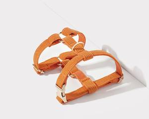Orange Corduroy Dog Harness+Leash+<b>Collar</b>+<b>Bow</b> <b>Tie</b>+Poo Bag Holder Set, Personalised Step In Harness Fancy Engraved Nameplate - Product Image 5