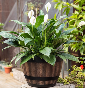 Pot de fleurs rétro en résine respirant et résistant <span class=keywords><strong>à</strong></span> la corrosion pour usage <span class=keywords><strong>extérieur</strong></span>, décoration écologique pour la maison et le jardin - Product Image 3