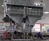 Machine d'emballage automatique HFFS pour sachets à soudure latérale 3/4 horizontale, pour pilules et comprimés, avec fonction de comptage
