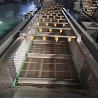 Automatische continue groente- en fruitwasmachine met luchtbellen voor sla, kool, spinazie, wortel en maïs