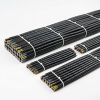 Kabel Listrik Multi-Core Lantian IEC RTTVZ 4+1 Inti Tembaga Berisolasi Mineral 0.6/1kV dengan Selubung Luar PVC untuk Daya
