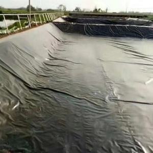 Прямо поставка с завода водонепроницаемая геомембрана по цене производителя - Product Image 4
