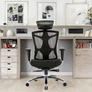 Chaise de bureau ergonomique en tissu AOR avec support dorsal en alliage d'aluminium - Hauteur réglable, roulettes silencieuses en PU, soutien lombaire adaptatif en TPR - Product Image 2