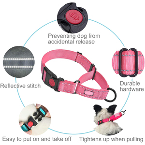 <span class=keywords><strong>Collar</strong></span> reflectante de nailon y poliéster para perros <span class=keywords><strong>martingale</strong></span>, Juego de <span class=keywords><strong>2</strong></span> pulgadas, OEM/ODM - Product Image 2