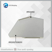 Module LCD 7 segments anti-reflet personnalisé par le fabricant GW022 pour la conservation de l'énergie, utilisation en moto pour PULSAR NS