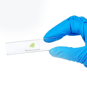 Chuẩn bị Slide 100 thực vật + 100 động vật Slide nói chung các loại Khoa học tự nhiên 200 miếng - Product Image 1