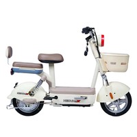 Vélo Électrique à Cadre en Acier Numérique 350W 48V Puissant, Fourche à Suspension, 3 Vitesses pour Roue de 14 Pouces – Meilleures Ventes