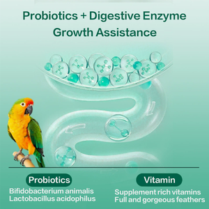 Suplemento Nutricional para Palomas, Calcio y Fósforo para Huesos Fuertes, Producto Saludable para Aves y Palomas - Product Image 2