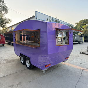 Food Truck Friteuse Professionnelle Sur Mesure – Remorque de Cuisine Mobile à Immersion dans l'Huile Unique - Product Image 5