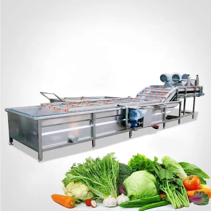 फल वॉशर और सब्जी सफाई मशीन स्ट्रॉबेरी लहसुन आड़ू गाजर वॉशिंग मशीन
