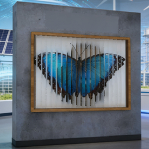 produttore galleggiano e piombino utilizzati come oggetti di scena per mostre e attività di divulgazione scientifica - Product Image 4